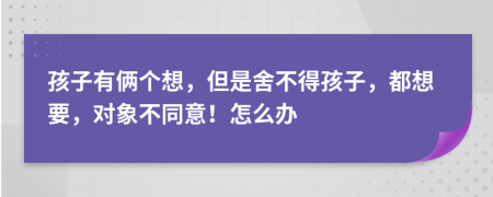 孩子有俩个想，但是舍不得孩子，都想要，对象不同意！怎么办