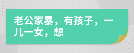 老公家暴，有孩子，一儿一女，想