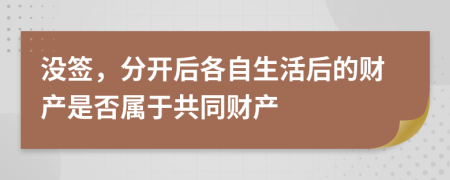 没签，分开后各自生活后的财产是否属于共同财产