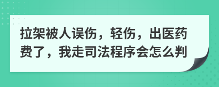 拉架被人误伤，轻伤，出医药费了，我走司法程序会怎么判