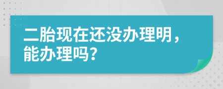 二胎现在还没办理明，能办理吗？