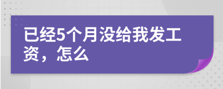 已经5个月没给我发工资，怎么