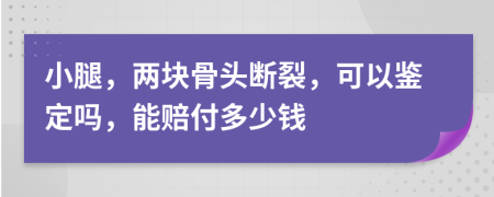 小腿，两块骨头断裂，可以鉴定吗，能赔付多少钱