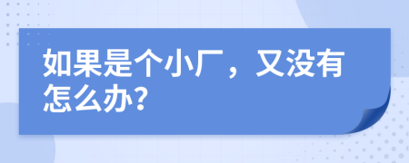 如果是个小厂，又没有怎么办？