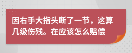 因右手大指头断了一节，这算几级伤残。在应该怎么赔偿