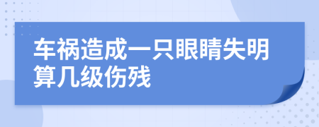 车祸造成一只眼睛失明算几级伤残