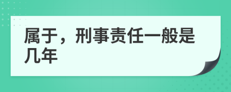 属于，刑事责任一般是几年