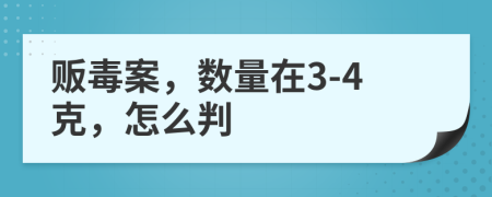 贩毒案，数量在3-4克，怎么判