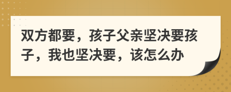 双方都要，孩子父亲坚决要孩子，我也坚决要，该怎么办