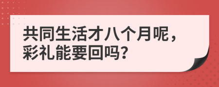 共同生活才八个月呢，彩礼能要回吗？
