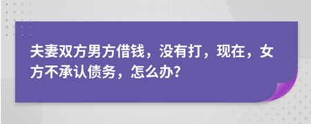 夫妻双方男方借钱，没有打，现在，女方不承认债务，怎么办？