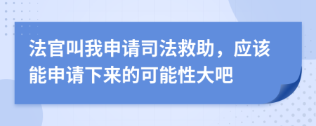 法官叫我申请司法救助，应该能申请下来的可能性大吧