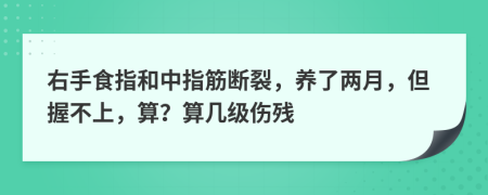 右手食指和中指筋断裂，养了两月，但握不上，算？算几级伤残