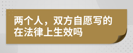 两个人，双方自愿写的在法律上生效吗