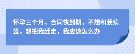 怀孕三个月，合同快到期，不想和我续签，想把我赶走，我应该怎么办