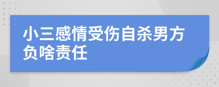 小三感情受伤自杀男方负啥责任