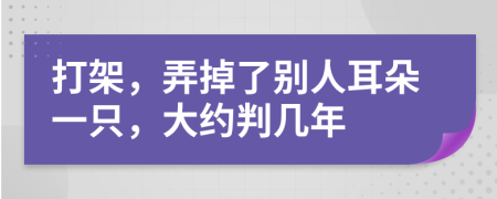 打架，弄掉了别人耳朵一只，大约判几年