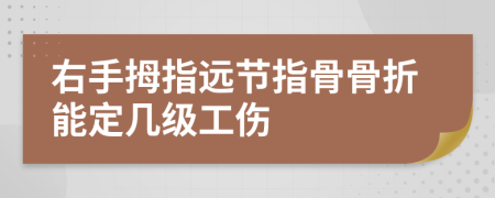 右手拇指远节指骨骨折能定几级工伤
