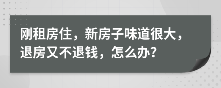 刚租房住，新房子味道很大，退房又不退钱，怎么办？