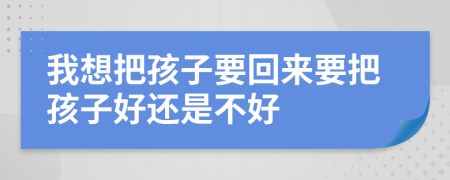 我想把孩子要回来要把孩子好还是不好