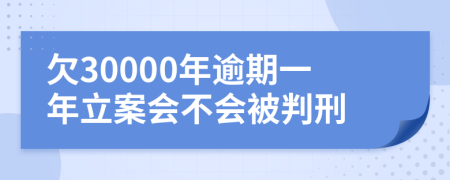 欠30000年逾期一年立案会不会被判刑