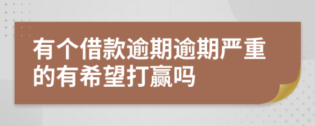 有个借款逾期逾期严重的有希望打赢吗