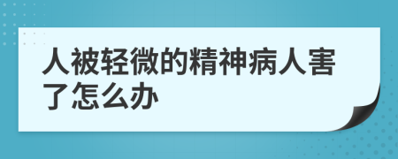 人被轻微的精神病人害了怎么办
