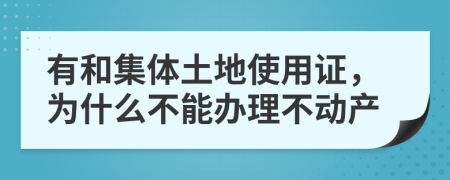 有和集体土地使用证，为什么不能办理不动产