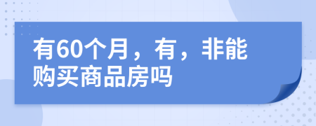 有60个月，有，非能购买商品房吗