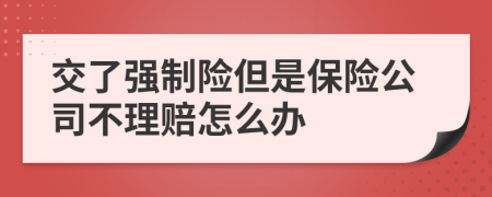 交了强制险但是保险公司不理赔怎么办