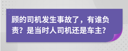 顾的司机发生事故了，有谁负责？是当时人司机还是车主？