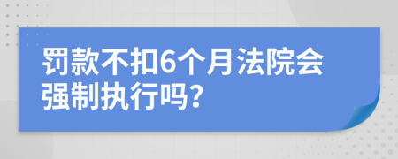 罚款不扣6个月法院会强制执行吗？