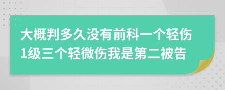 大概判多久没有前科一个轻伤1级三个轻微伤我是第二被告