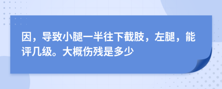 因，导致小腿一半往下截肢，左腿，能评几级。大概伤残是多少