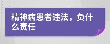 精神病患者违法，负什么责任