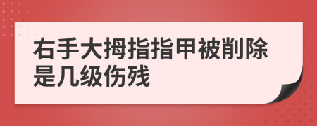 右手大拇指指甲被削除是几级伤残