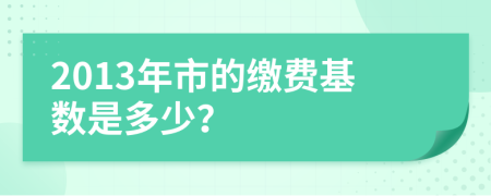 2013年市的缴费基数是多少？