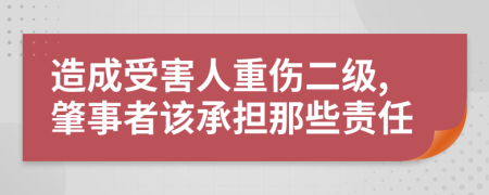 造成受害人重伤二级,肇事者该承担那些责任