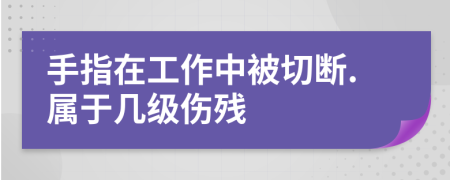 手指在工作中被切断.属于几级伤残