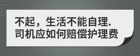 不起，生活不能自理.司机应如何赔偿护理费