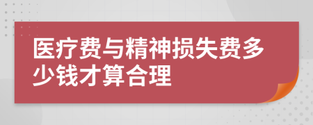医疗费与精神损失费多少钱才算合理