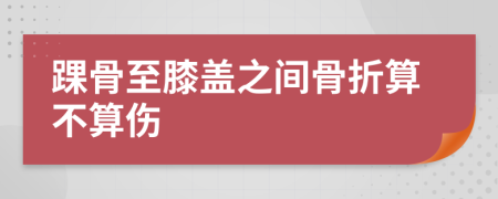 踝骨至膝盖之间骨折算不算伤