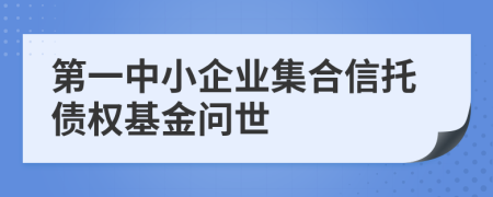 第一中小企业集合信托债权基金问世