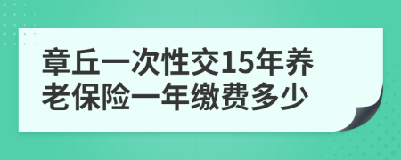 章丘一次性交15年养老保险一年缴费多少