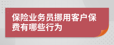 保险业务员挪用客户保费有哪些行为