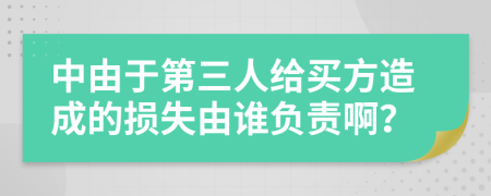 中由于第三人给买方造成的损失由谁负责啊？