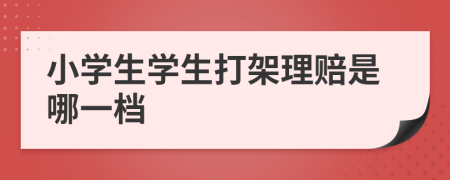 小学生学生打架理赔是哪一档