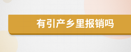 有引产乡里报销吗