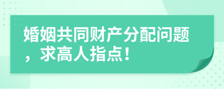 婚姻共同财产分配问题，求高人指点！