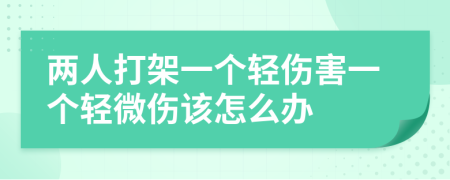 两人打架一个轻伤害一个轻微伤该怎么办